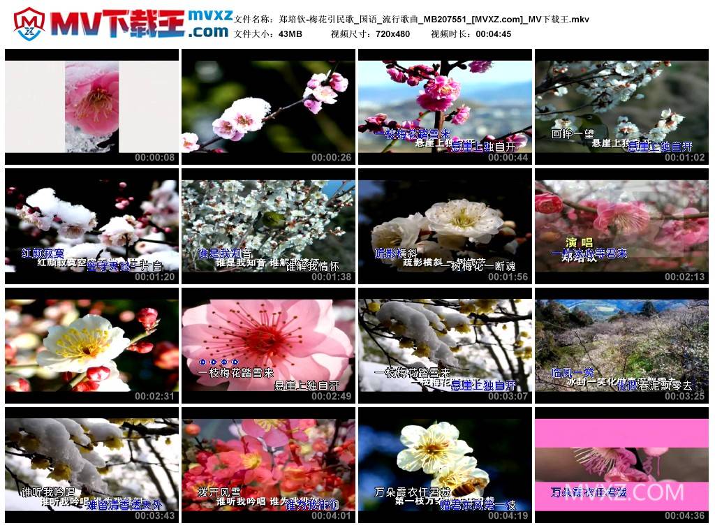 郑培钦-梅花引民歌_国语_流行歌曲_MB207551